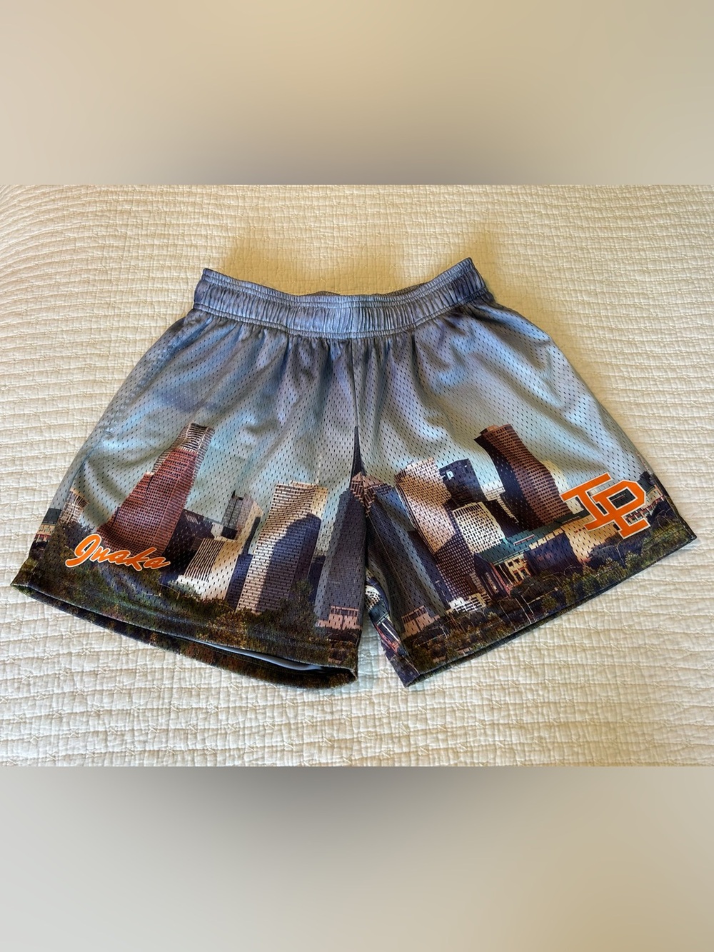 Inaka Power Cityscape Mesh Shorts SzLg Athletic MMA Kickboxing Lined Drawstring